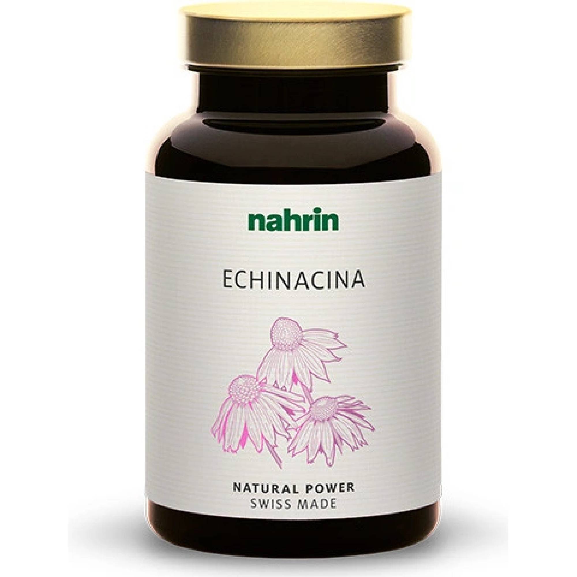 echinaina